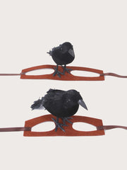Two taxidermy ravens perched on 1pc-Halloween Crow themed Pet Headwear stands against a white background