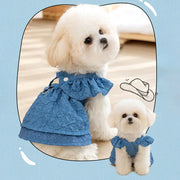 Small white dog wearing a blue Denim Dog Dress with a matching hat on a light blue background