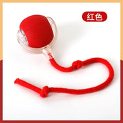 Intelligent Interactive Cat Toy Ball with a red rope on a white background