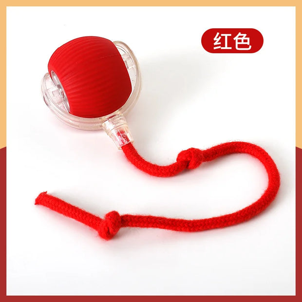 Intelligent Interactive Cat Toy Ball with a red rope on a white background