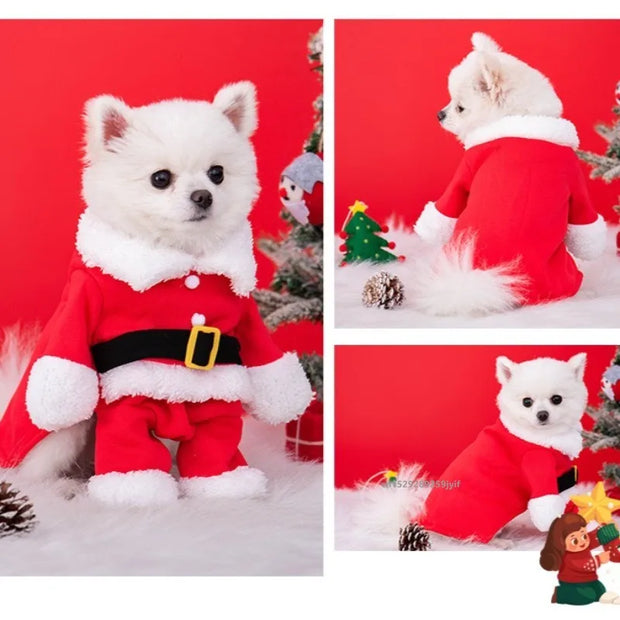 Dog wearing a Santa Claus Pet Costume outfit with Christmas decorations in the background