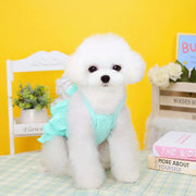 Small white dog wearing a Ruffle Layered Dress against a yellow background