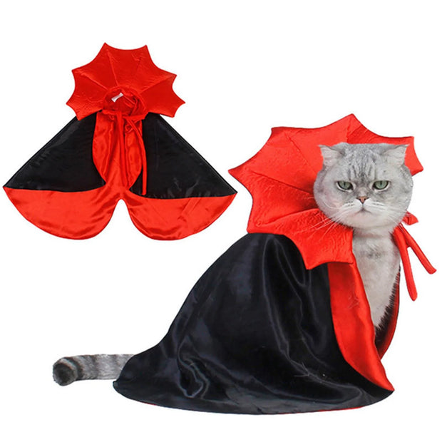 Cat wearing a red and black Vampire Cape Costume with a matching hat on a white background