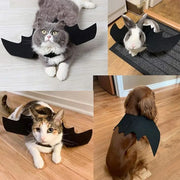 Collage of pets wearing black Halloween Costume Set indoors.