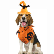 Dog wearing a Halloween Pet Hat And Drool Towel Set bandana on a white background