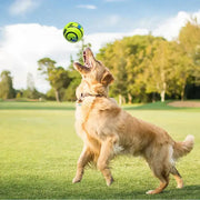 Dog playing with a green and blue Wobble Wag Giggle Ball Fun Dog Toy in a park on a sunny day