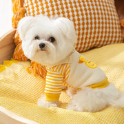Small white dog wearing a yellow and white Duck Overalls Pet Outfit on a yellow blanket.