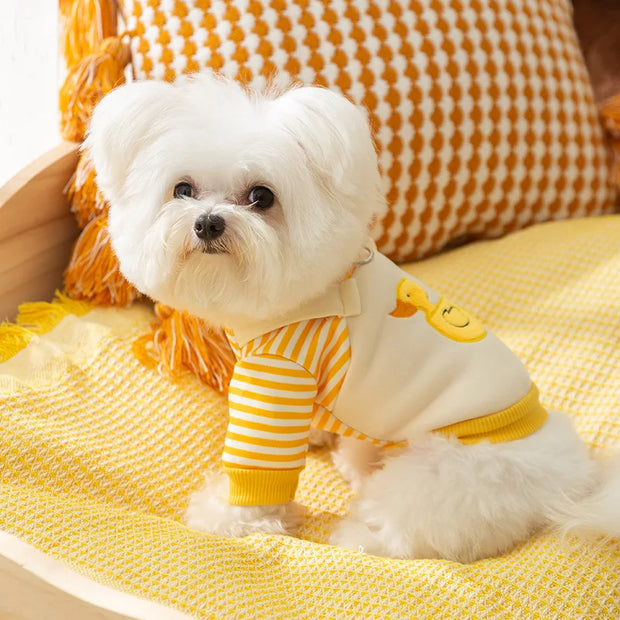 Small white dog wearing a yellow and white Duck Overalls Pet Outfit on a yellow blanket.