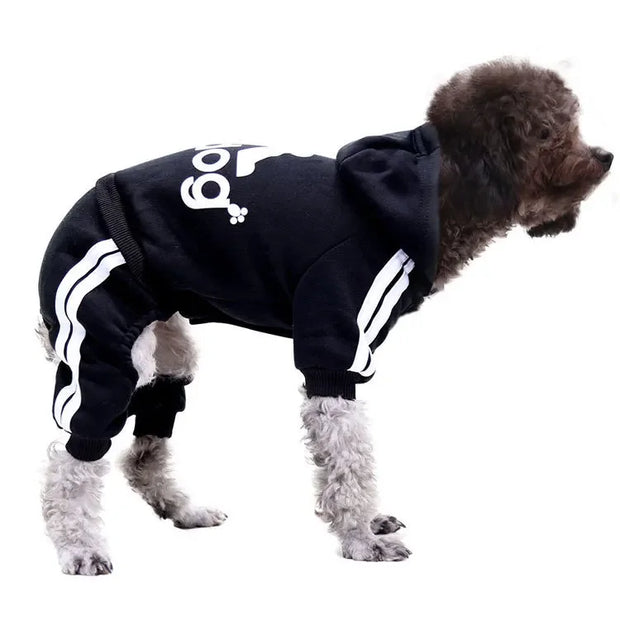Dog wearing a black Sporty Pet Hoodie Jumpsuit with white stripes and logo on a white background