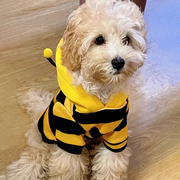 Cute Bee Costume – Adorable Outfit for Dogs and Cats