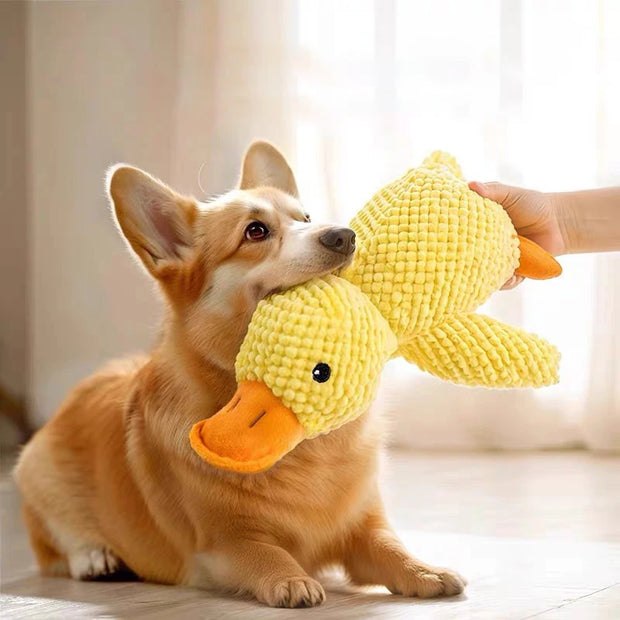 Dog playing with a Dog Calming Duck Plush Toy held by a hand on a soft surface