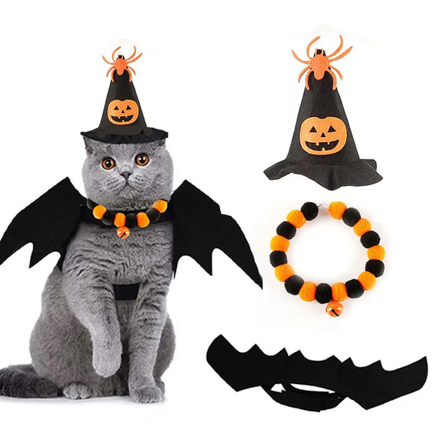 Cat wearing Halloween Costume Set with hat, wings, and collar on a white background
