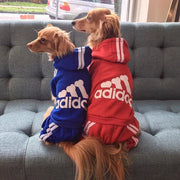 Two dogs wearing blue and red Adidas Adidog Hoodie sitting on a gray couch.
