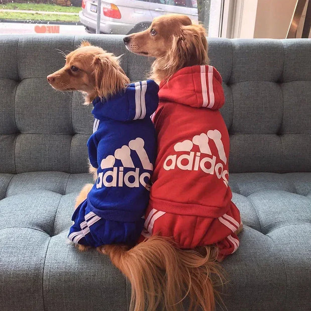 Two dogs wearing blue and red Adidas Adidog Hoodie sitting on a gray couch.