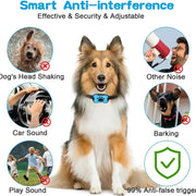 Dog wearing a Anti-Barking Dog Collar  with anti-interference features highlighted, including dog shaking head, car sound, and barking.