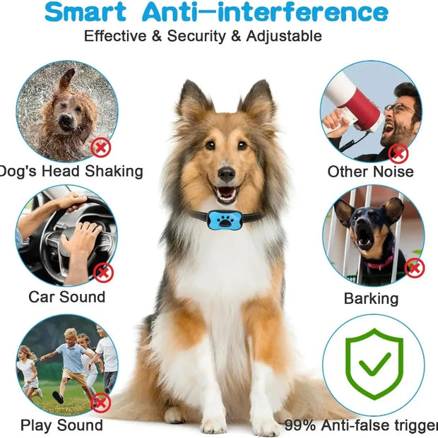 Dog wearing a Anti-Barking Dog Collar  with anti-interference features highlighted, including dog shaking head, car sound, and barking.