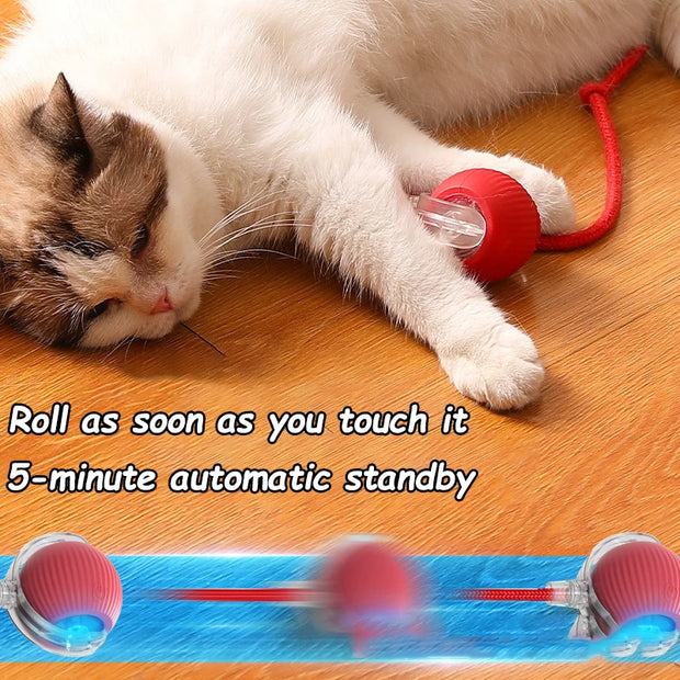 Cat playing with a red and blue Rechargeable pet Toy Ball with Mode and Obstacle Avoidance on a wooden floor