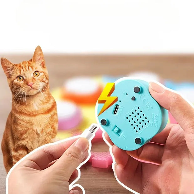 Pet Training Button Turquoise electronic device with lightning bolt design held by a person, next to an orange cat.