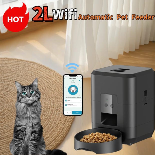 Smart Automatic Pet Feeder with WiFi Control with a smartphone app interface, next to a cat and a bowl of food on a wooden floor.