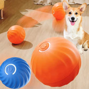 Dog playing with an orange Smart Interactive Dog Ball on a wooden floor, with a blue Smart Interactive Dog Ball in the foreground.