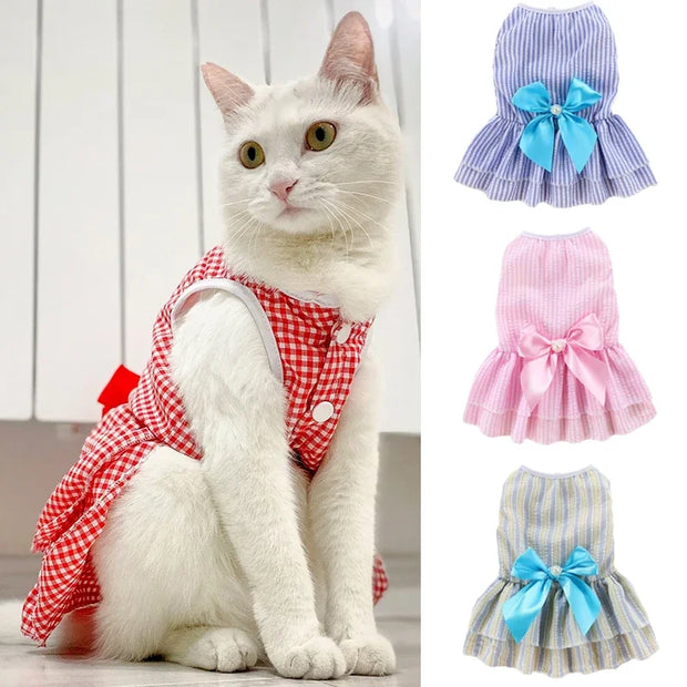 White cat wearing a red Summer Princess Dress with additional dresses displayed on the right.