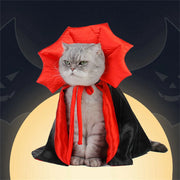 Cat wearing a red and black Vampire Cape Costume with a Halloween-themed background