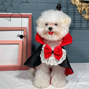 Dog in a Vampire Pet Costume with a red cape and black accents, sitting on a surface with a blue wall and framed pictures in the background.