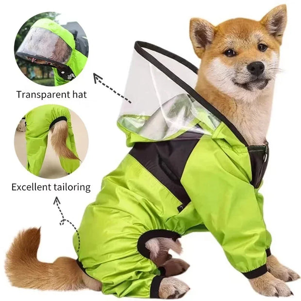 Dog wearing a green Dog Raincoat with Clear Hood with transparent hat and excellent tailoring details.