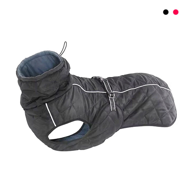 Windproof and Waterproof Dog Jacket with a white zipper on a white background
