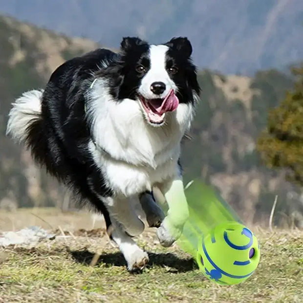 Dog running with a green and blue Wobble Wag Giggle Ball Fun Dog Toy in a natural setting