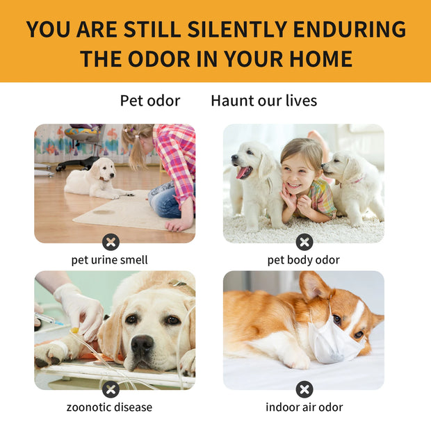 Advertisement about Yegibong Pet Fabric Deodorizer Spray 120ml with images of dogs and a child, and text about pet urine smell, body odor, zoonotic disease, and indoor air odor.