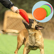 Dog playing with a red Aisenwer Durable Rubber Dog Frisbee in an outdoor setting, with inset showing other colored