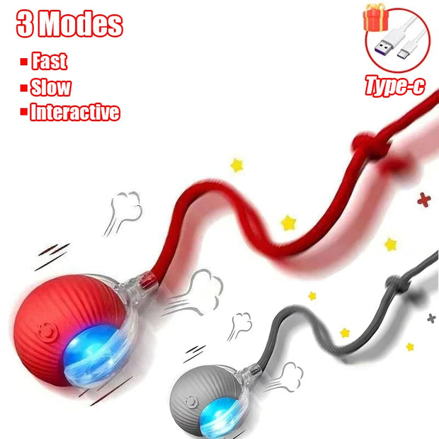 Red and gray Rechargeable pet Toy Ball with Mode and Obstacle Avoidance with USB cable and charging details on a white background